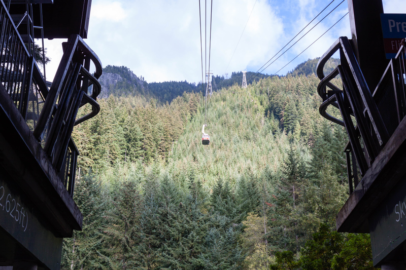 Illustration for article titled Pics from the (Mountain)side: 2016-10-10 at Grouse Mountain